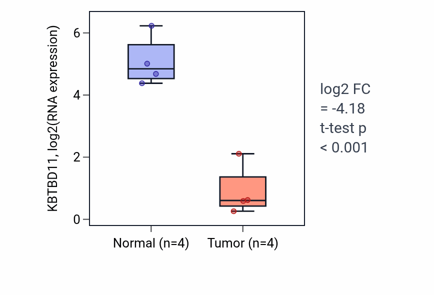 Tumor-vs-normal expression box plot for KBTBD11 in KICH.