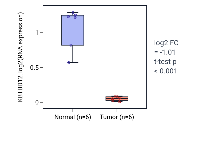 Tumor-vs-normal expression box plot for KBTBD12 in KIRC.