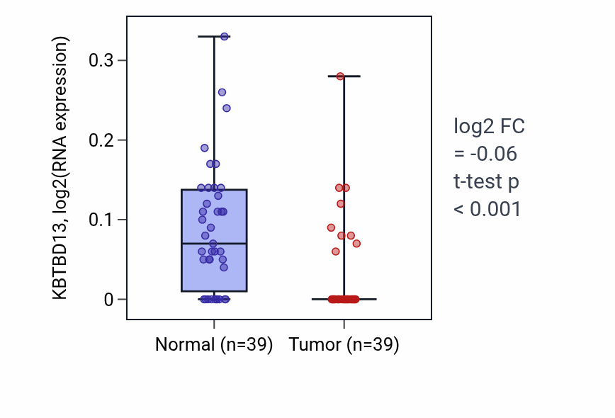 Tumor-vs-normal expression box plot for KBTBD13 in COAD.