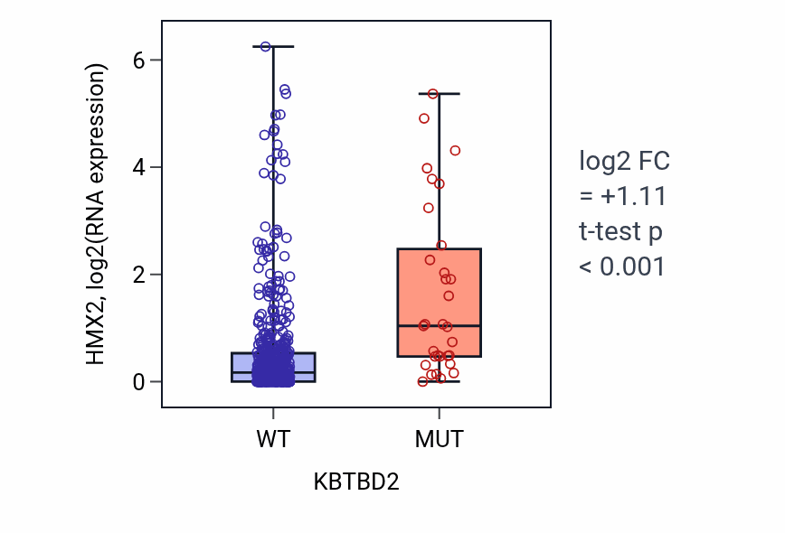 Box plot of HMX2 in KBTBD2-low vs KBTBD2-high samples in UCEC.