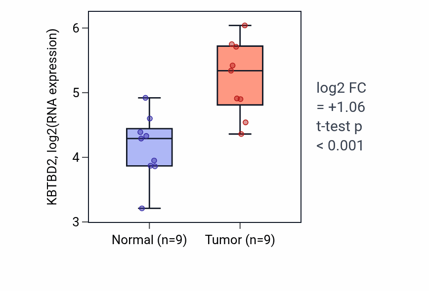 Tumor-vs-normal expression box plot for KBTBD2 RNA in HNSC.