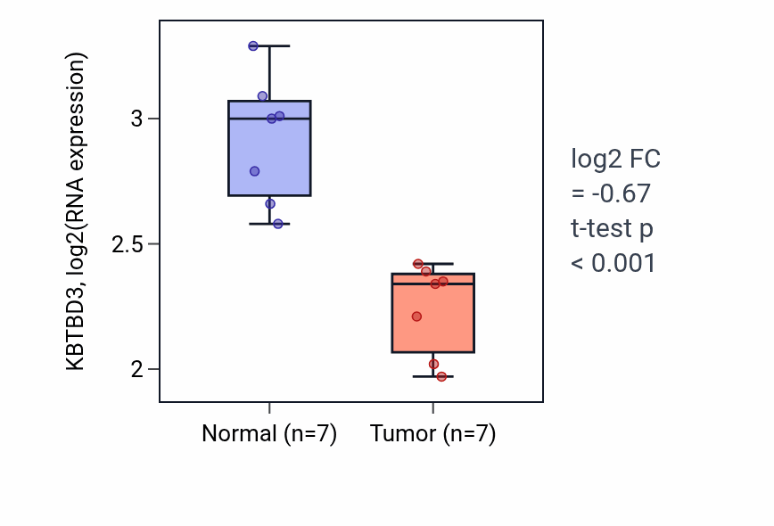 Tumor-vs-normal expression box plot for KBTBD3 in THCA.