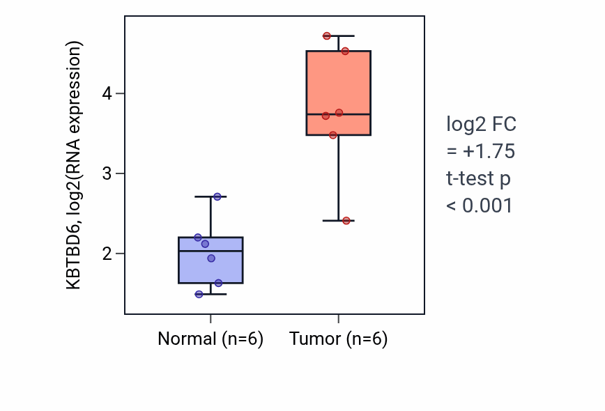 Tumor-vs-normal expression box plot for KBTBD6 in HNSC.