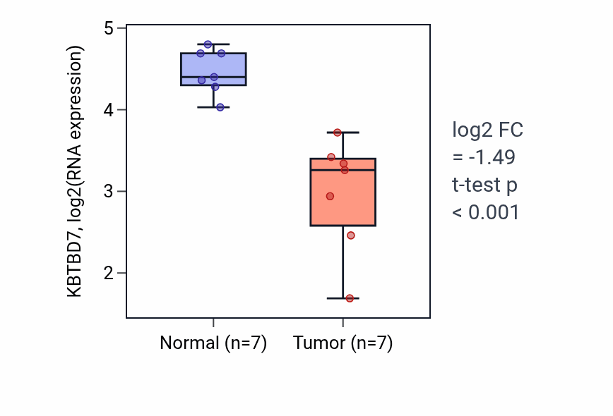 Tumor-vs-normal expression box plot for KBTBD7 in THCA.