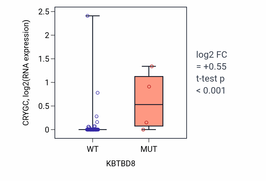 Box plot of CRYGC in KBTBD8-low vs KBTBD8-high samples in CNS.