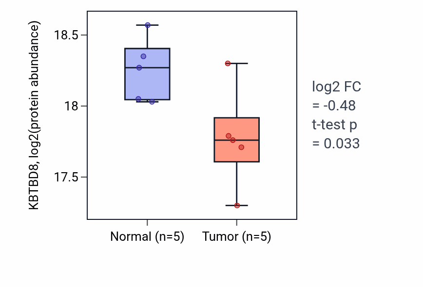 Tumor-vs-normal mass-spec protein box plot for KBTBD8 in LUAD.