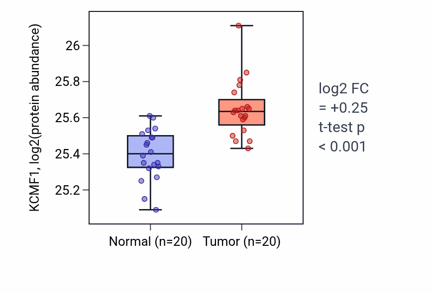 Tumor-vs-normal mass-spec protein box plot for KCMF1 in LSCC.