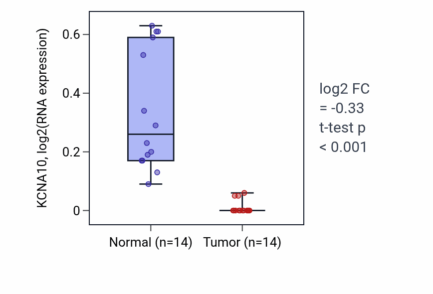 Tumor-vs-normal expression box plot for KCNA10 in LUSC.