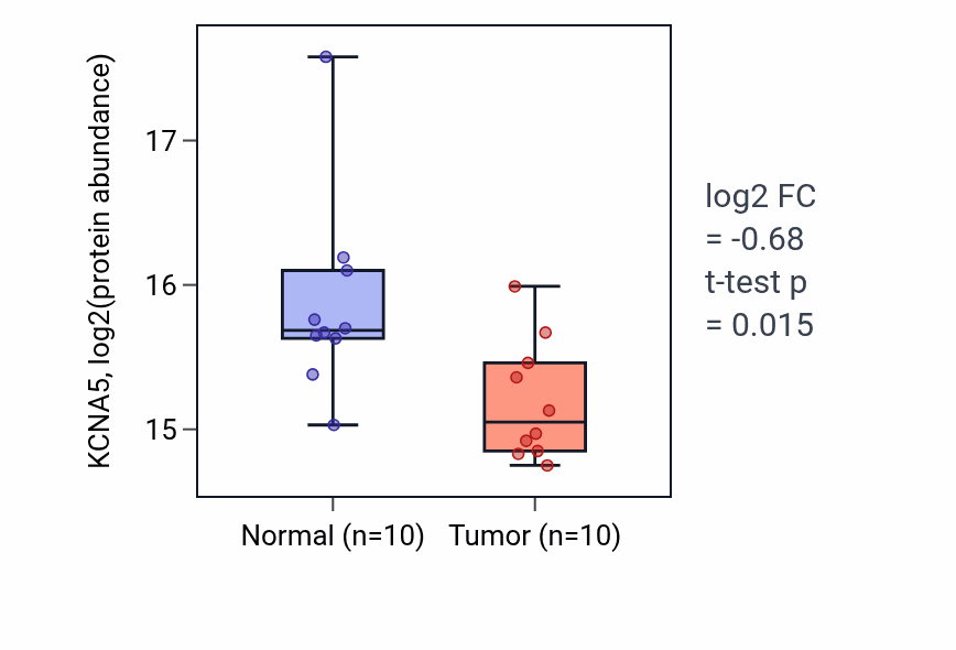 Tumor-vs-normal mass-spec protein box plot for KCNA5 in HNSC.