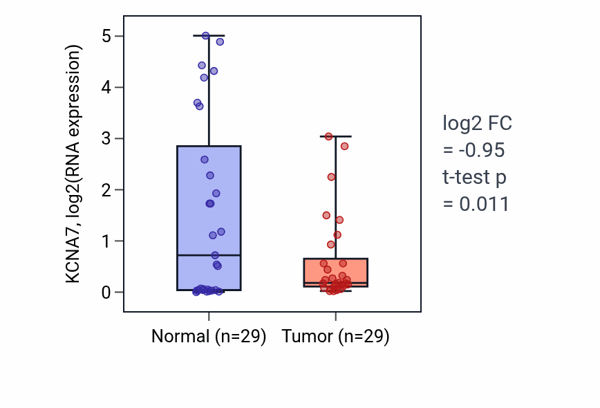 Tumor-vs-normal expression box plot for KCNA7 in HNSC.