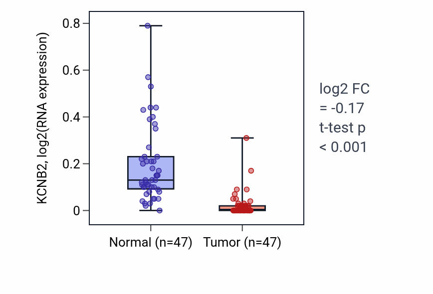 Tumor-vs-normal expression box plot for KCNB2 RNA in KIRC.