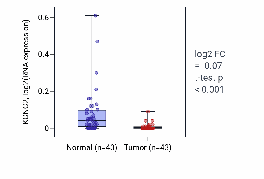 Tumor-vs-normal expression box plot for KCNC2 in HNSC.
