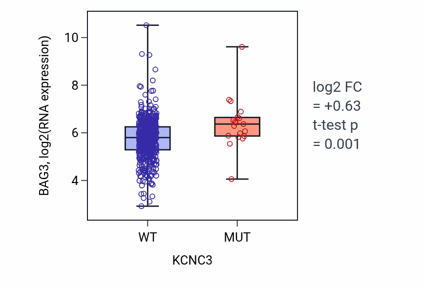 Box plot of BAG3 in KCNC3-low vs KCNC3-high samples in UCEC.