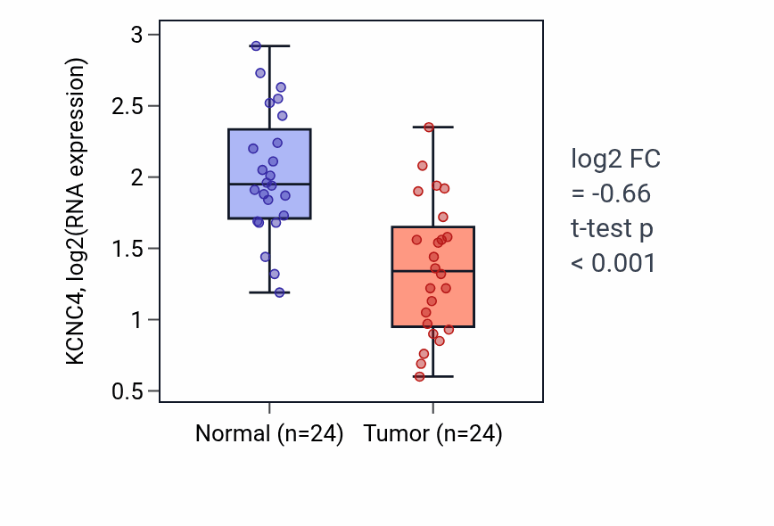 Tumor-vs-normal expression box plot for KCNC4 in KIRC.