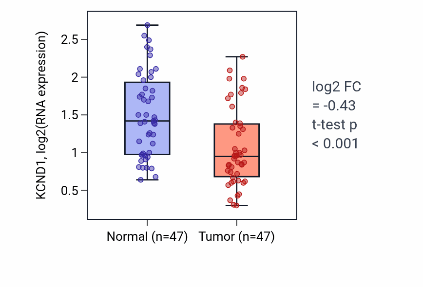 Tumor-vs-normal expression box plot for KCND1 in KIRC.