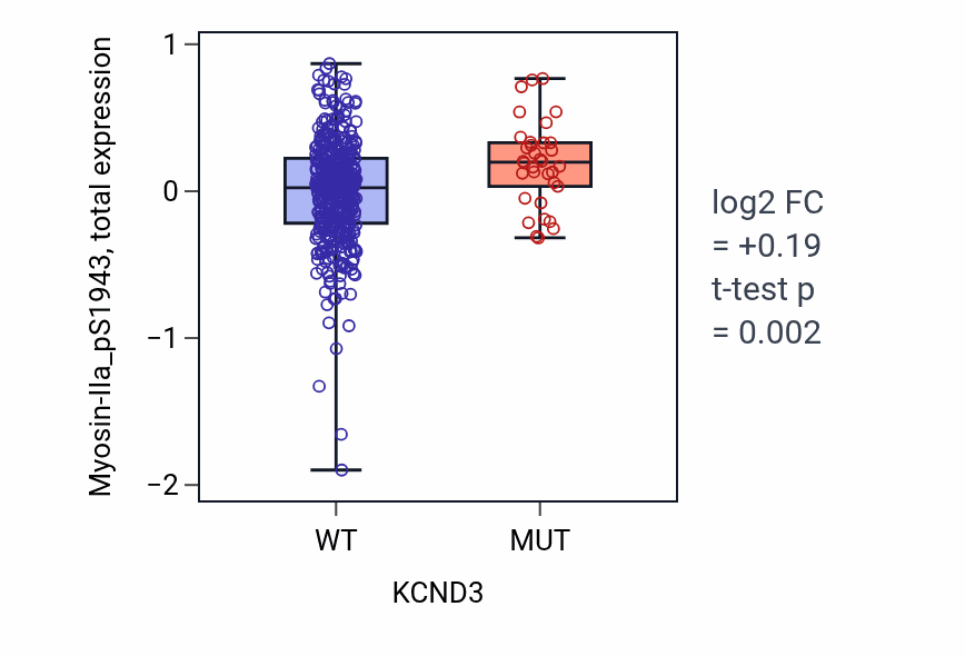 Box plot of Myosin-IIa_pS1943 in KCND3-low vs KCND3-high samples in UCEC.