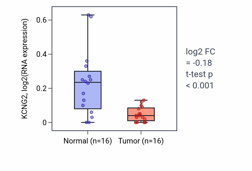 Tumor-vs-normal expression box plot for KCNG2 in THCA.