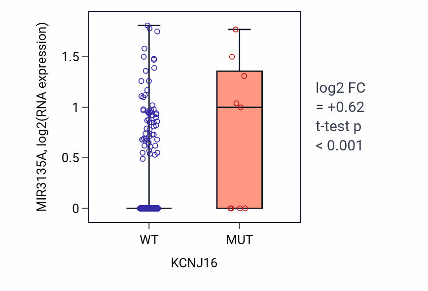 Box plot of MIR3135A in KCNJ16-low vs KCNJ16-high samples in LUSC.