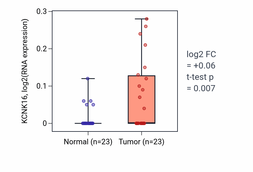 Tumor-vs-normal expression box plot for KCNK16 RNA in UCEC.