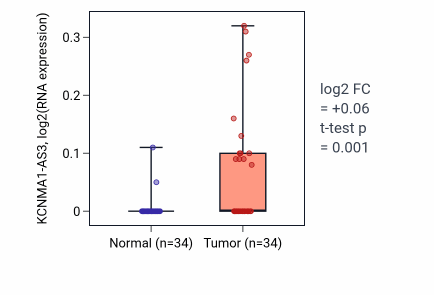 Tumor-vs-normal expression box plot for KCNMA1-AS3 in KIRC.