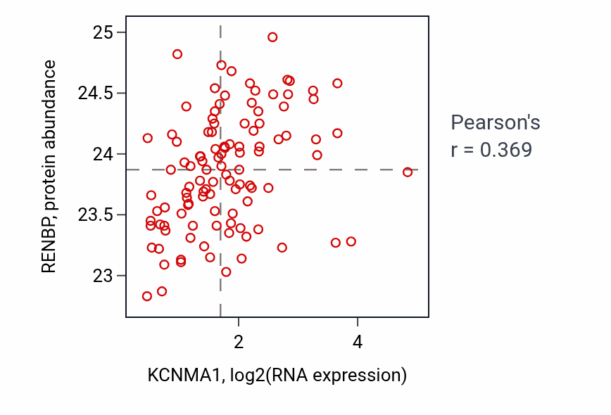 Per-sample scatter of KCNMA1 vs RENBP in HNSC (Pearson r = 0.37).