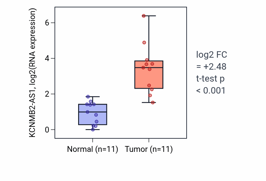 Tumor-vs-normal expression box plot for KCNMB2-AS1 in HNSC.