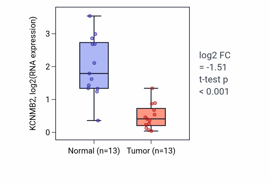 Tumor-vs-normal expression box plot for KCNMB2 in KIRC.