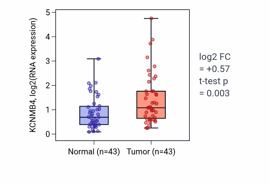 Tumor-vs-normal expression box plot for KCNMB4 in HNSC.