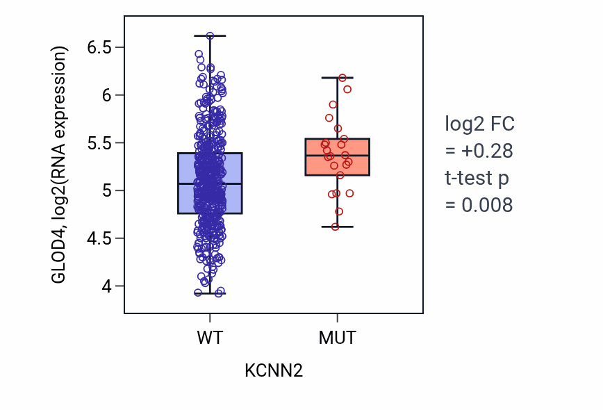 Box plot of GLOD4 in KCNN2-low vs KCNN2-high samples in LUSC.