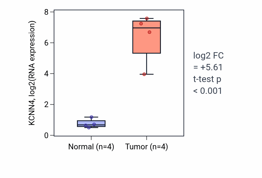 Tumor-vs-normal expression box plot for KCNN4 in THCA.