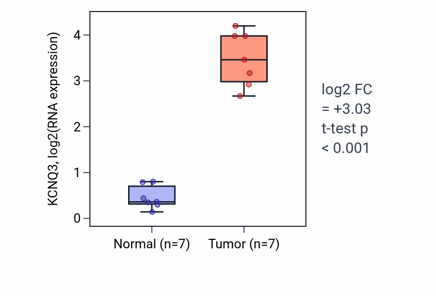 Tumor-vs-normal expression box plot for KCNQ3 in THCA.