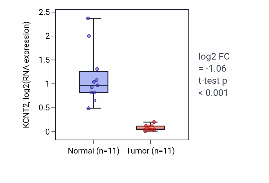 Tumor-vs-normal expression box plot for KCNT2 in KICH.