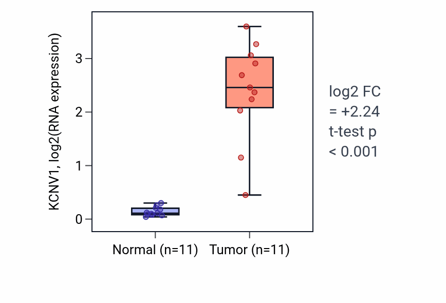 Tumor-vs-normal expression box plot for KCNV1 in KIRP.