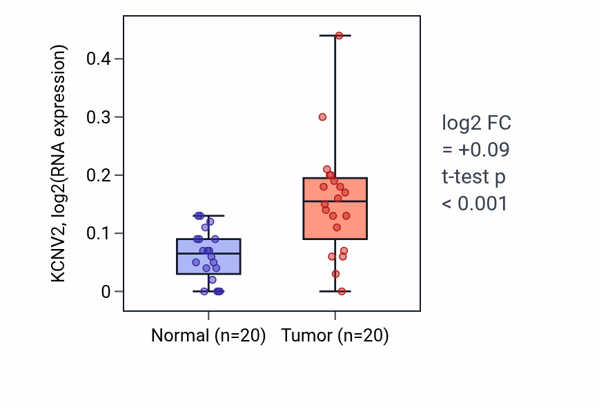 Tumor-vs-normal expression box plot for KCNV2 in KIRC.
