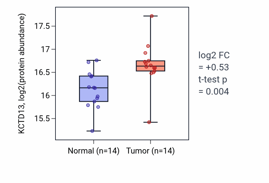 Tumor-vs-normal mass-spec protein box plot for KCTD13 in LSCC.