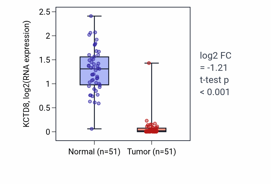 Tumor-vs-normal expression box plot for KCTD8 in KIRC.