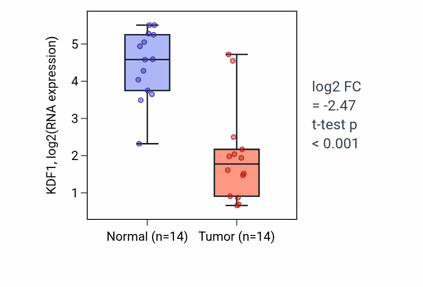 Tumor-vs-normal expression box plot for KDF1 in KIRC.