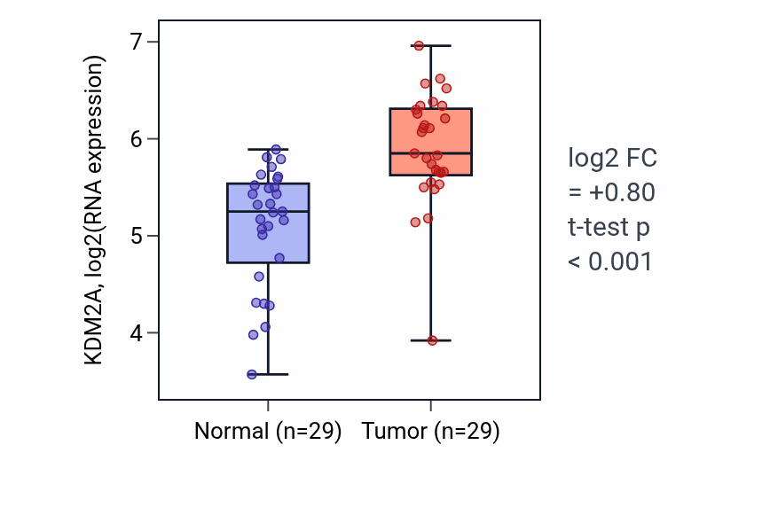 Tumor-vs-normal expression box plot for KDM2A RNA in HNSC.