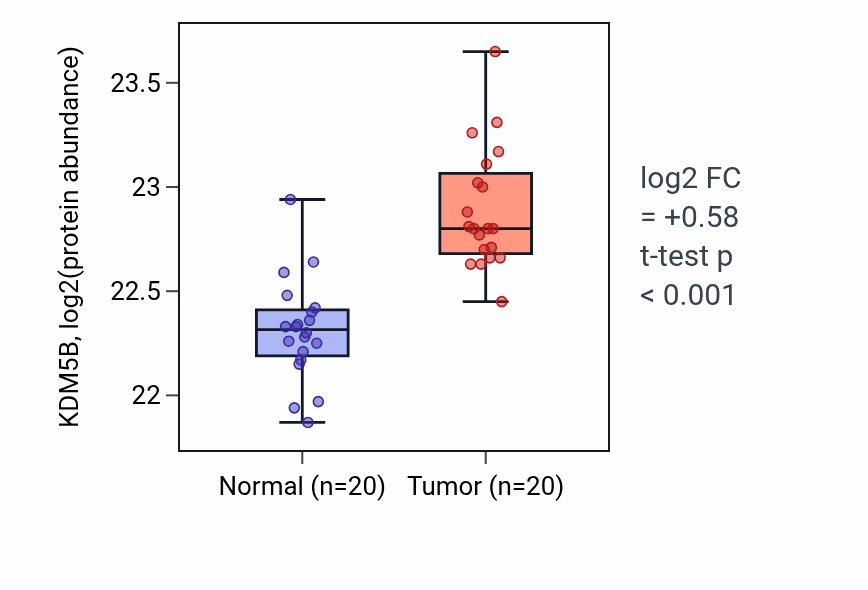 Tumor-vs-normal mass-spec protein box plot for KDM5B in LSCC.