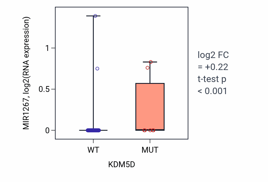 Box plot of MIR1267 in KDM5D-low vs KDM5D-high samples in SKCM.