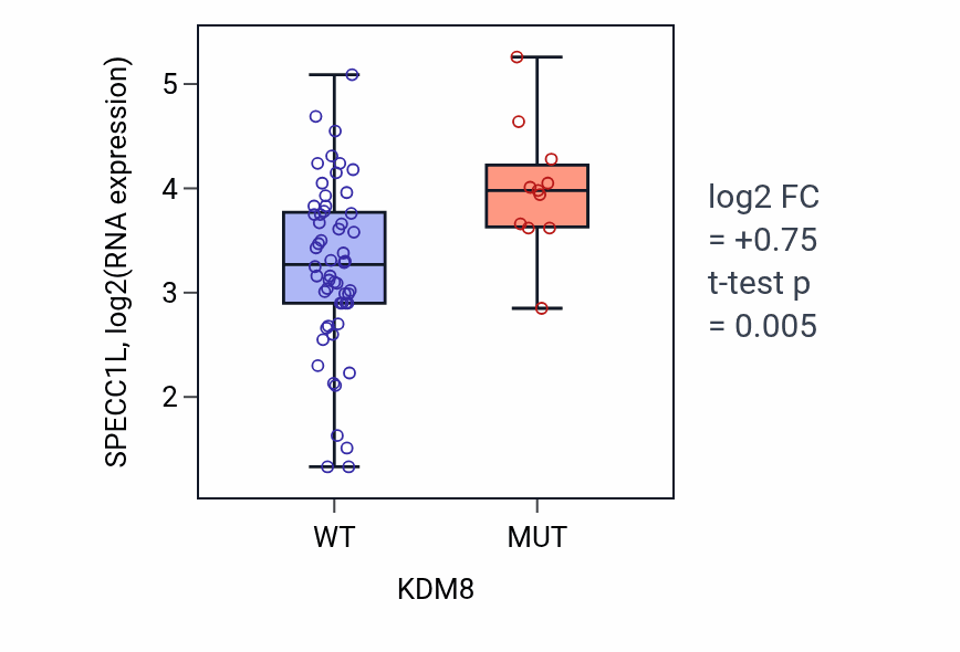 Box plot of SPECC1L in KDM8-low vs KDM8-high samples in LARGE_INTESTINE.