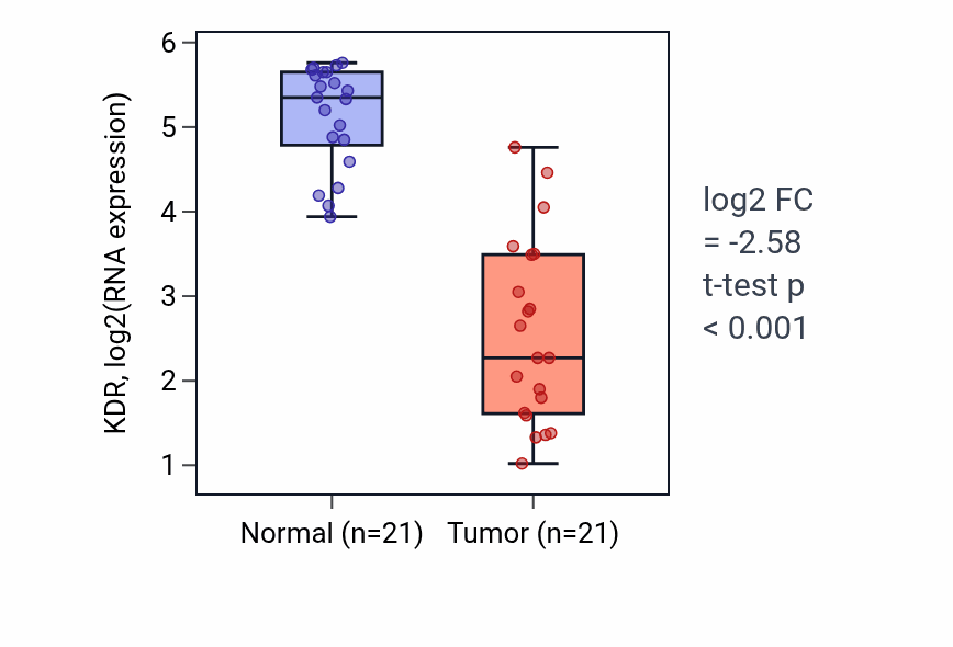 Tumor-vs-normal expression box plot for KDR in KIRP.