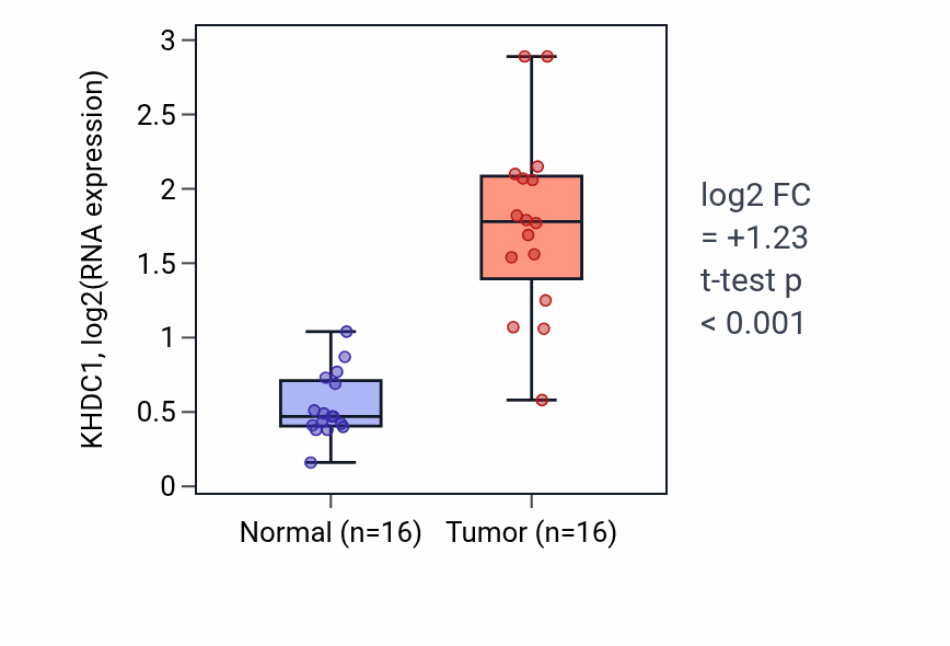 Tumor-vs-normal expression box plot for KHDC1 in HNSC.