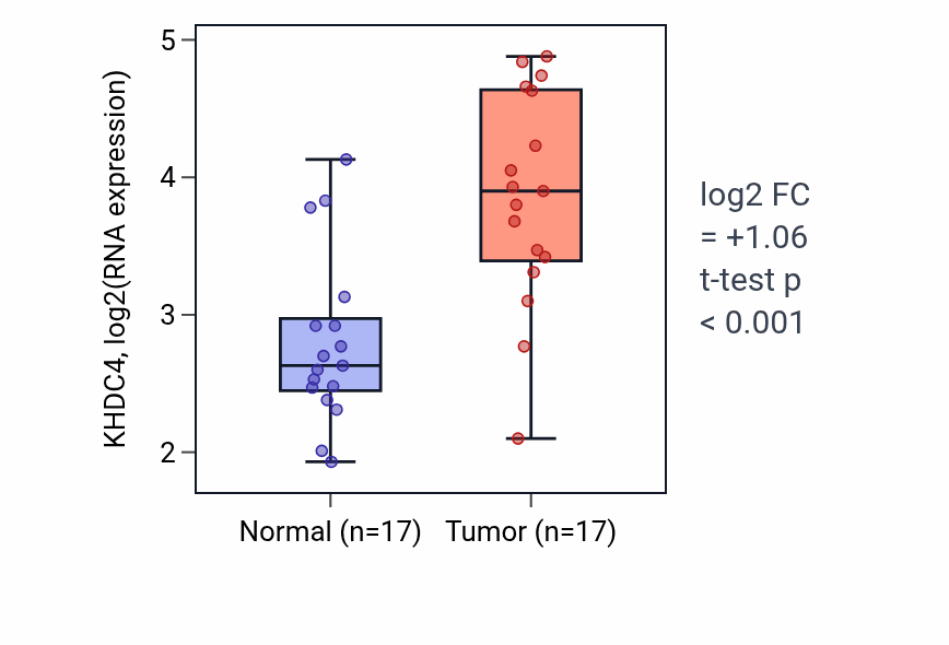 Tumor-vs-normal expression box plot for KHDC4 in HNSC.
