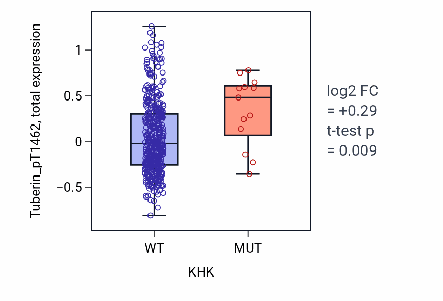 Box plot of Tuberin_pT1462 in KHK-low vs KHK-high samples in UCEC.