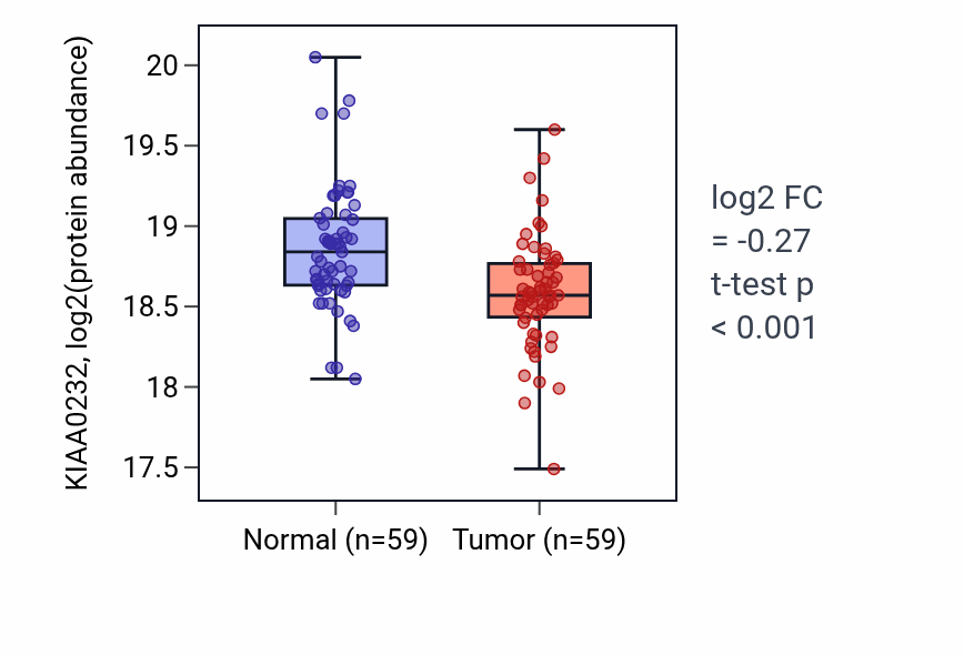 Tumor-vs-normal mass-spec protein box plot for KIAA0232 in LUAD.