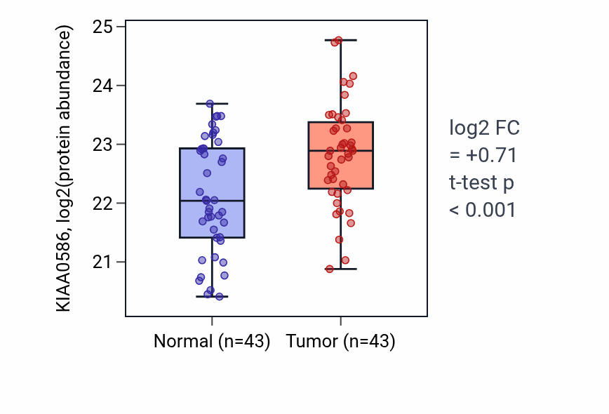 Tumor-vs-normal mass-spec protein box plot for KIAA0586 in HNSC.
