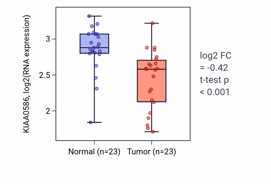 Tumor-vs-normal expression box plot for KIAA0586 RNA in THCA.