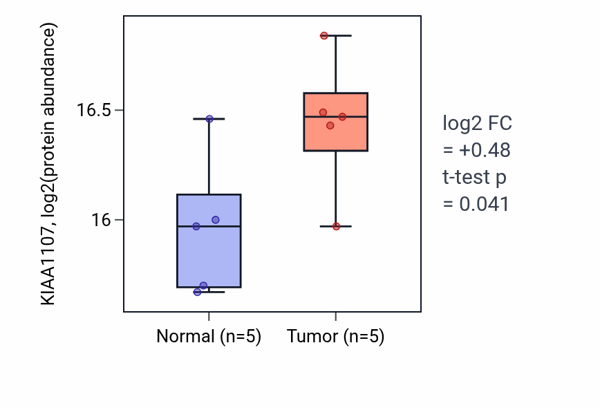 Tumor-vs-normal mass-spec protein box plot for KIAA1107 in HNSC.