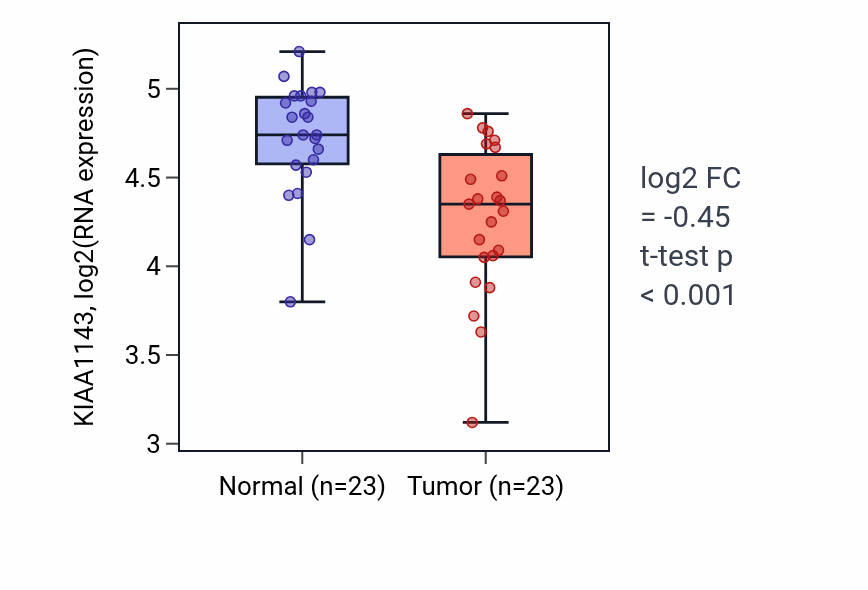 Tumor-vs-normal expression box plot for KIAA1143 in THCA.